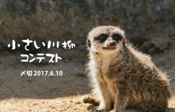 川柳投稿まるせん│今回も大盤振る舞い500円！みたいな小さい川柳 作品募集［賞品 選べるお買い物券500円分］