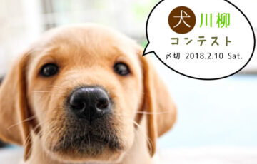 川柳投稿まるせん│戌年ですから。犬川柳コンテスト［賞品 選べるお買い物券 500円分］
