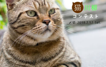 川柳投稿まるせん│戌年だけど。猫川柳コンテスト［賞品 選べるお買い物券 500円分］
