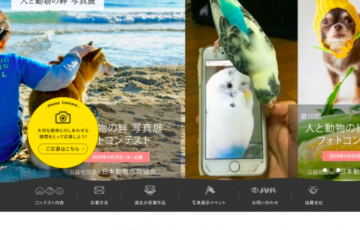 アマチュア限定公募 公益社団法人日本動物病院協会 第10回 人と動物の絆 フォトコンテスト 賞品 商品券3万円分