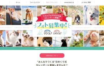 日めくりワンコ！ 日めくりニャンコ！ 2022年カレンダーフォト募集［賞品 Amazonギフト券5万円分ほか］