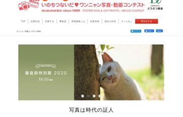 公益財団法人どうぶつ基金│いのちつないだわんにゃん写真・動画コンテスト2021［環境大臣賞 賞金賞品合わせて10万円相当］