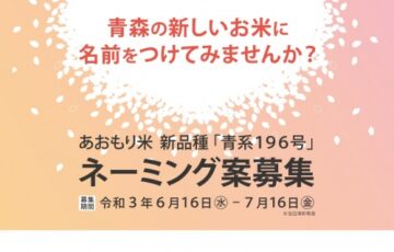 青森米 新品種「青系196号」ネーミング案募集［賞金20万円 青系196号60kg］