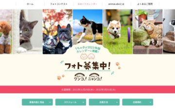 日めくりワンコ・日めくりニャンコフォトコンテスト（2023）作品募集［賞品 Amazonギフト券5万円分ほか］
