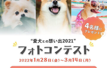 株式会社リプカ│愛犬との想い出2021フォトコンテスト［グランプリ ギフトカード1万円分］