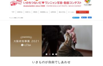 公益財団法人どうぶつ基金│いのちつないだわんにゃん写真・動画コンテスト2022［環境大臣賞 賞金賞品合わせて10万円相当］