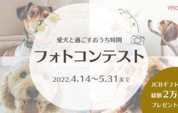 株式会社リプカ│愛犬と過ごすおうち時間フォトコンテスト［グランプリ ギフトカード1万円分］