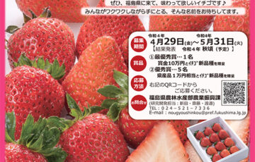 福島県│募集開始しました!!～新しいイチゴの名称募集［最優秀賞 賞金10万円 イチゴ新品種］