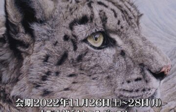 ジオアートワークス│美しき野生ねこ達展2
