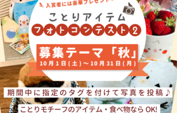 ことりアイテムフォトコンテスト2［賞 オリジナルグッズ］