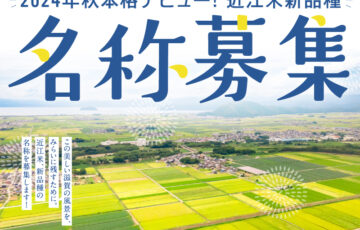 株式会社しがトコ│近江米新品種の名称を募集します！ ［賞 賞金3万円 近江米新品種5kg］