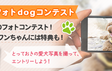 mofmo（モフモ）フォトdogコンテスト【賞 Amazonギフト券1万円分】