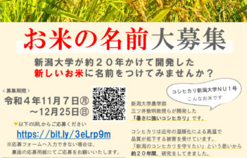 新潟大学│「コシヒカリ新潟大学NU1号」ネーミング大募集［賞 令和5年度産 コシヒカリ新潟大学NU1号10kg］