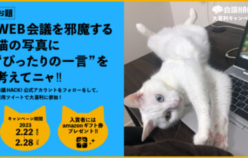 会議HACK！│第3回 大喜利キャンペーン -猫の日 特別編-［最優秀賞 Amazonギフトカード1万円分］