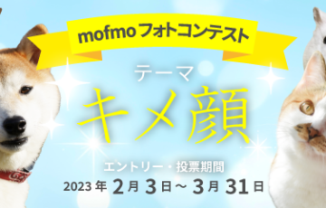 mofmo（モフモ）フォトコンテスト【賞 Amazonギフト券5,000円分 フレッシュペットフード】