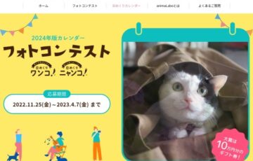 『日めくりワンコ！』『日めくりニャンコ！』2024年版カレンダーフォトコンテスト［賞品 Amazonギフト券10万円分ほか］