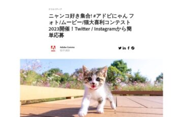 アドビ│#アドビにゃん フォト/ムービー/猫大喜利コンテスト［賞 Amazonギフト券10万円分］