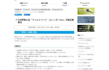 日本野鳥の会│「ワイルドバード・カレンダー2024」掲載作品募集