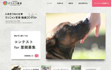 公益財団法人どうぶつ基金│いのちつないだワンニャン写真動画コンテスト2023［環境大臣賞 賞金賞品合わせて10万円相当］