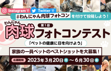 第1回 わんにゃん肉球フォトコンテスト［最優秀賞 Amazon商品券3万円分］