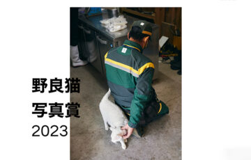 野良猫写真賞2023［グランプリ 作品展示 作品プリント贈呈など］