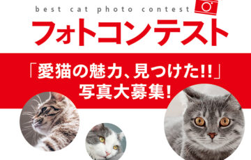 ロイヤルカナン│JAPAN CAT SHOW「知らなかった猫の世界。観て学んで、実践する。」フォトコンテスト［最優秀賞 旅行券3万円分］