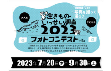 沖縄生きものいっせい調査2023フォトコンテストの部［優秀賞 ギフト券1万円分］