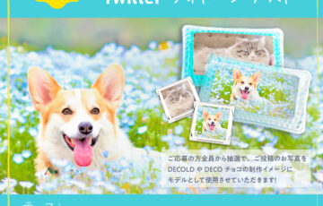 DECOLDモデル募集！ペットフォトコンテスト［グランプリ オリジナル保冷剤DECOLD＆チロルチョコセット］