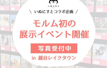 モルム×いぬにすと 初開催！自慢のうちの子展示イベント［賞 作品展示］