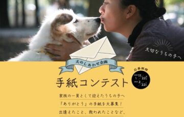 犬のしあわせ企画 手紙コンテスト［金賞 うちの子イラスト お買い物クーポン10万円分］