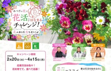 厚木市農業協同組合（JAあつぎ）│あつぎの農業を育てて応援！キャンペーン 〜あつぎの花で「花活」はなまるチャレンジ！〜［賞 あつぎの旬の花を使った寄せ植え］