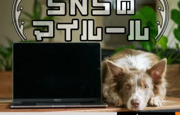 【女性・年齢限定公募】かがみよかがみ編集部│「SNSのマイルール」エッセイ募集［賞 アマゾンギフト券500円分］