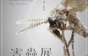 害蟲展 season5［最優秀賞 賞金30万円 展示 図録掲載］