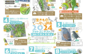 沖縄生きものいっせい調査2024フォトコンテストの部［優秀賞 ギフト券1万円分］