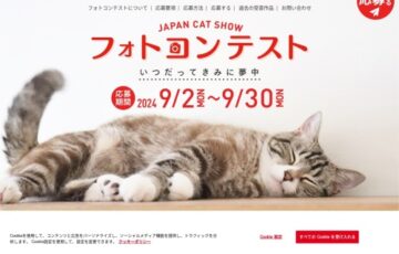JAPAN CAT SHOW フォトコンテスト［最優秀賞 防災サポートセット］