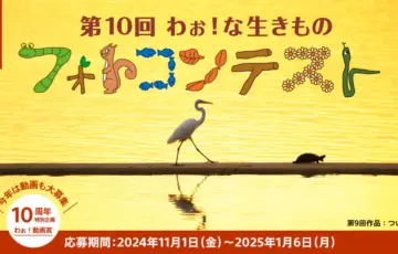第10回 わぉ！な生きものフォトコンテスト［グランプリ デジタルスチルカメラ『RX10 IV』（DSC-RX10M4）］