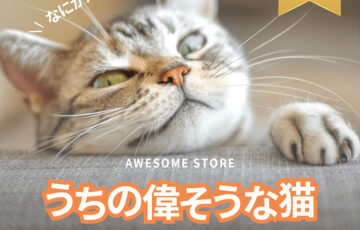オーサムストア│＼なにか用にゃん？／ うちの偉そうな猫 フォトコンテスト［最優秀賞 Amazonギフトカード5万円分］