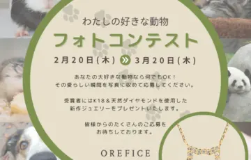 ジュエリー工房オレフィーチェ│「わたしの好きな動物」フォトコンテスト［グランプリ 2025年2月発売 K18「ミャオ」ネックレス］