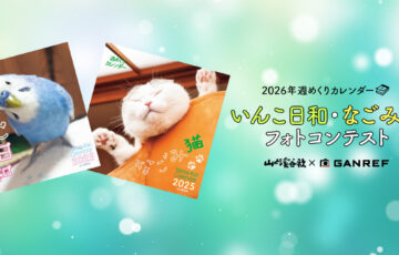 スマホで簡単に応募可能！ 2026年週めくりカレンダー いんこ日和・なごみ猫 フォトコンテスト［最優秀賞 賞金2万円 週めくりカレンダー1部］