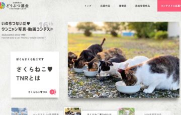 公益財団法人どうぶつ基金│いのちつないだワンニャン写真・動画コンテスト2025［環境大臣賞 賞金賞品合わせて10万円相当］