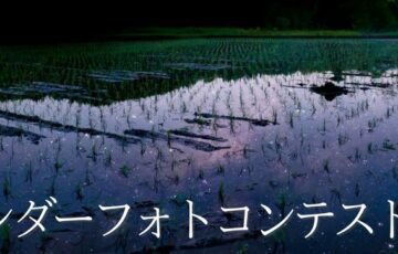 【アマチュア限定公募】株式会社 名優│第2回 名優カレンダーフォトコンテスト［大賞 賞金10万円］