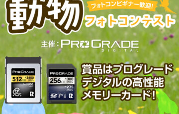 プログレードデジタル│フォトコンビギナー歓迎！動物フォトコンテスト［優秀賞 高速メモリーカード512GB 3万円相当など］